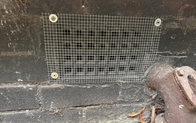 rodent proofing